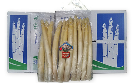 【2025年発送】ホワイトアスパラ 1kg(2L～3L)［優品］北海道 美深町産 アスパラガス 野菜　 北海道野菜 旬の野菜 甘い みずみずしい 　お届け：2025年4月中旬～2025年6月上旬