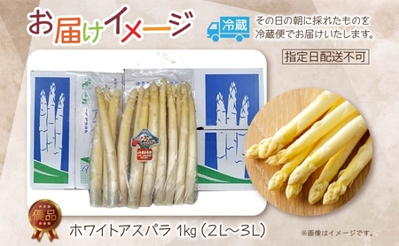 Amazon.co.jp: 北海道産 ホワイトアスパラガス 500g (2L-3L
