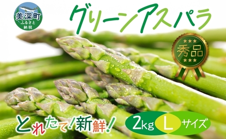2026年発送 グリーンアスパラ 2kg(L) 【 秀品 】 旬 新鮮 野菜 朝採れ アスパラ アスパラガス ギフト 産地直送 お取り寄せ フレッシュ 甘い 春 春野菜 旬の味覚 季節 送料無料 北海道産 美深町