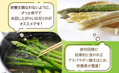 2026年発送 グリーンアスパラ 2kg(L) 【 秀品 】 旬 新鮮 野菜 朝採れ アスパラ アスパラガス ギフト 産地直送 お取り寄せ フレッシュ 甘い 春 春野菜 旬の味覚 季節 送料無料 北海道産 美深町