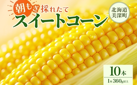 とうもろこし 10本 スイートコーン トウモロコシ コーン 甘い 採れたて 朝採り 野菜 旬の野菜 農作物 お取り寄せ 北海道産 産地直送 北海道 美深町 お届け:2026年8月3日~2026年8月28日