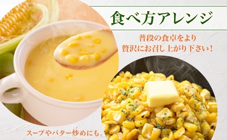 とうもろこし 10本 スイートコーン トウモロコシ コーン 甘い 採れたて 朝採り 野菜 旬の野菜 農作物 お取り寄せ 北海道産 産地直送 北海道 美深町 お届け:2026年8月3日~2026年8月28日