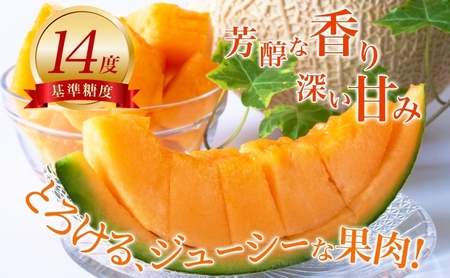 【2026年発送】びふかメロン大2玉(合計4.2kg以上) 北海道 美深町産 赤肉 メロン 産直 高級 果肉 果汁 芳醇 香り甘い デザート フルーツ 果物 くだもの 贈り物