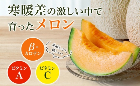 【2026年発送】びふかメロン大2玉(合計4.2kg以上) 北海道 美深町産 赤肉 メロン 産直 高級 果肉 果汁 芳醇 香り甘い デザート フルーツ 果物 くだもの 贈り物