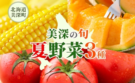 【2026年発送】 美深の旬の夏野菜3種 （フルーツトマト・メロン・とうもろこし） 夏 野菜 旬 甘い 濃厚 果物 フルーツ 高糖度 新鮮 朝採れ もぎたて 産地直送 北海道 美深町