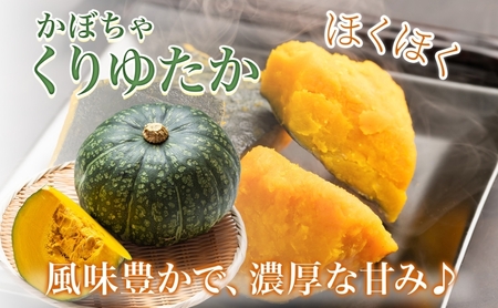 【2026年発送】北海道 美深町 旬の野菜 3種 定期便 グリーンアスパラ 1kg とうもろこし 10本 かぼちゃ 10kg 野菜 夏野菜 フルーツ アスパラ コーン スイートコーン カボチャ 南瓜 直送 新鮮
