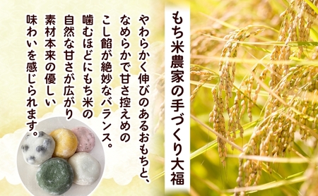 もち米農家の大福 5種 計15個 セット もち米 米 お米 大福 和菓子 お菓子 デザート モチモチ もちもち おやつ 国産もち米 国産 日本産 つきたて 冷凍 本格的 お取り寄せ ご当地 送料無料 北海道 美深町