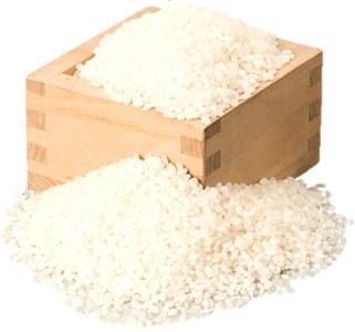 愛知県弥富市産のお米から生まれたコメヌカコスメ　お米のハンドソープ　300ml　2個入り【1206665】