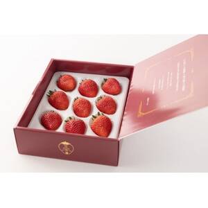 【産直】完熟よつぼし『四重奏プレミアム』　愛知県みよし市　【配送不可地域：離島・北海道・沖縄県】【1284759】