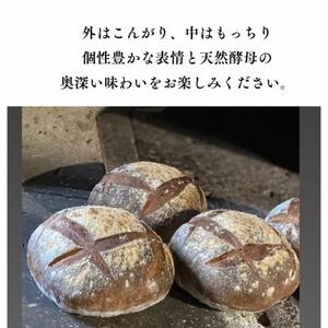 愛知県みよし市産 石窯パン詰め合わせ Mサイズ 7~10個入り【配送不可地域:離島】【1578415】