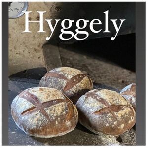 愛知県産こだわりの石窯焼きプレミアムカンパーニュ1個【配送不可地域：離島】【1578331】