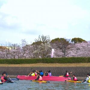 【2026年3月28日(土)・29日(日)開催】　お花見カヌー体験(2名様)【1586929】