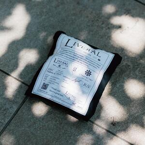 パッカブル ワンショルダーエコバッグ　NAKI 【L】Hard mesh｜人気バッグ おすすめショルダー［ パッカブル ワンショルダー エコバッグ NAKI Lサイズ Hard mesh 軽量 バッグ ショルダー 人気 おすすめ ギフト プレゼント お取り寄せ 通販 送料無料 ふるさと納税 ］