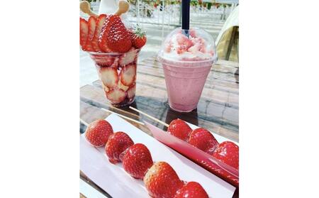 すまいるベリーズ長久手 利用券3,000円分