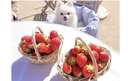 すまいるベリーズ長久手 利用券60,000円分