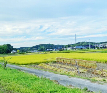 あぐりん村の令和7年度産 愛知県長久手市産「あいちのかおり」精米5kg |長久手市 あぐりん村 長久手産 あいちのかおり 精米5kg ブランド米 人気 おすすめ ギフト プレゼント お取り寄せ 通販 送料無料 ふるさと納税
