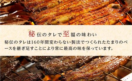 ひつまぶし店『まるや本店』名古屋うなぎづくしセット【 鰻 魚介類 水産 食品 人気 おすすめ ギフト 冷凍 お土産 愛知県 長久手市】