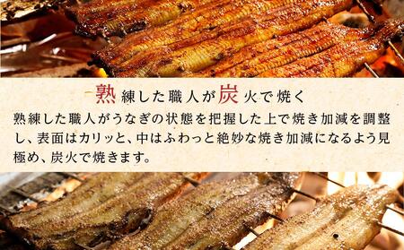 ひつまぶし店『まるや本店』うなぎ白焼き2本【鰻 魚介類 水産 食品 人気 おすすめ ギフト 冷凍 お土産 愛知県 長久手市】