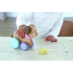 東郷町【公式キャラクターロゴ入り】キャンディパピー【1563532】