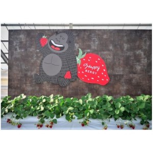 愛知県東郷町いちご農園で育ったおいしいイチゴで作ったイチゴジャム【1280153】