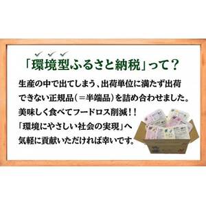 【ニチレイ】フードロス削減に貢献!!　人気のおかずシリーズ6食セット【配送不可地域：離島】【1701639】