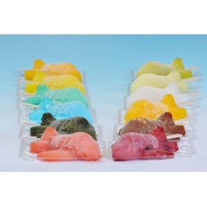 空飛ぶKUZUBAR　第一格納庫【配送不可地域：離島】【1274102】