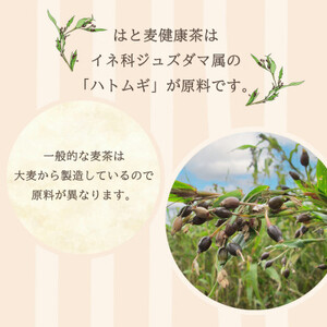 はと麦健康茶ティーバッグ (7.5g×24パック)×【15入】【1434779】