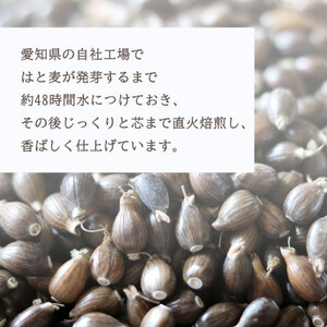 はと麦健康茶ティーバッグ (7.5g×24パック)×【15入】【1434779】