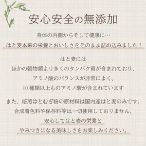 焙煎はとむぎ粉 300g×【12入】【1434789】