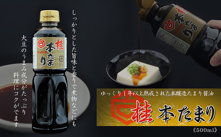 創業300余年キッコーナ調味料セット＋和食麺処サガミコラボ商品 