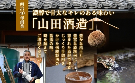 日本酒 純米大吟醸  醉泉 720ml オリジナル 超特選 山田酒造 山田錦 清酒 純米酒 お酒 上品 香り 華やか まろやか 芳醇 深み ギフト 贈り物 プレゼント 低温発酵 飲み会 夕食 仲間 山田酒造 愛知県 蟹江町