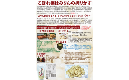 【甘強みりん】こぼれ梅 みりん粕12個セット 発酵食品 甘酒 加工食品 食べ物 食品 