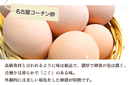 日本を代表する地鶏　名古屋コーチン卵　40個入 ／ ブランドたまご ブランド卵 ブランド玉子 卵 たまご タマゴ 玉子 鶏卵 産みたて 新鮮 こだわり 上質 濃厚 卵焼き 卵かけご飯 国産 阿久比町産 愛知県 特産 No.213
