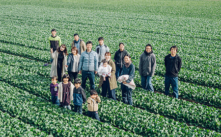 【3ヶ月定期便】今が旬！お野菜の詰め合わせセット No.215