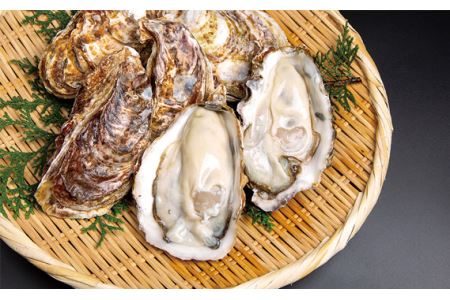 おいしい牡蠣しょうゆ 900ml 3本セット ／ 醤油 しょう油 カキ かき醤油 牡蠣醤油 調味料 国産 国産醤油 丸大豆醤油 丸大豆しょうゆ 簡単 手軽 便利 美味しい 料理 煮物 刺身 照り焼き No.120