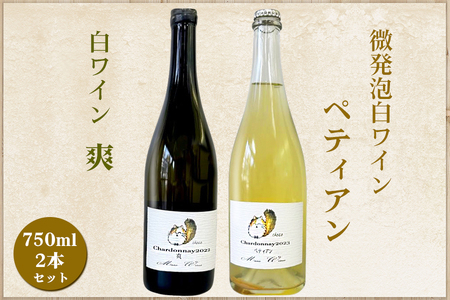 白ワイン・微発泡白ワイン飲み比べ2本セット Chardonnay2022「爽」750ml＆Chardonnay2023「ペティアン」750ml｜ワイン スパークリング 飲み比べ シャルドネ 無添加 無濾過 国産 日本ワイン 愛知県 東浦町 [0703]