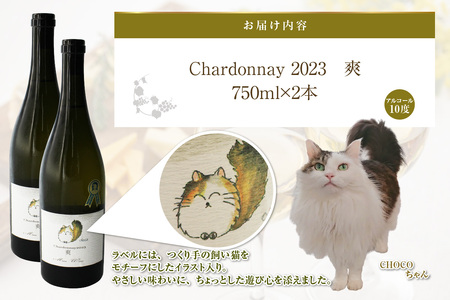 Chardonnay2023 爽 750ml 白ワイン 2本セット｜シャルドネ 無添加 無濾過 国産 日本ワイン 愛知県 東浦町