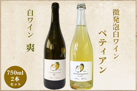 白ワイン・微発泡白ワイン飲み比べ2本セット Chardonnay2023「爽」750ml＆Chardonnay2023「ペティアン」各750ml｜ワイン スパークリング 飲み比べ シャルドネ 無添加 無濾過 国産 日本ワイン 愛知県 東浦町