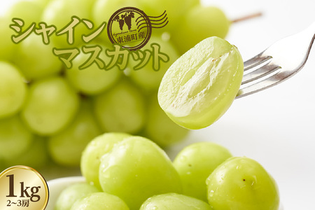 【先行予約】<2026年発送>東浦町産シャインマスカット 1kg(2~3房)│ぶどう ブドウ マスカット 葡萄 フルーツ 果物 新鮮 農家直送 フレッシュ デザート おやつ 種なし 皮ごと 愛知県 東浦町