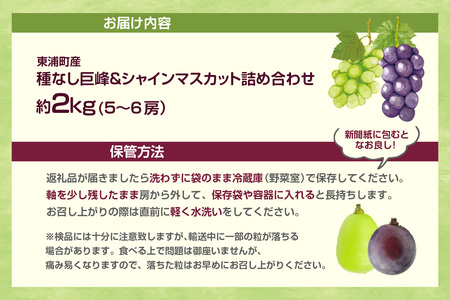 【先行予約】<2026年発送>東浦町産 種なし巨峰&シャインマスカット詰め合わせ 約2kg(5~6房)│ぶどう ブドウ マスカット 葡萄 巨峰 種なし 種無し シャインマスカット 高級 フルーツ 果物 新鮮 農家直送 フレッシュ デザート おやつ 種なし 皮ごと 愛知県 東浦町