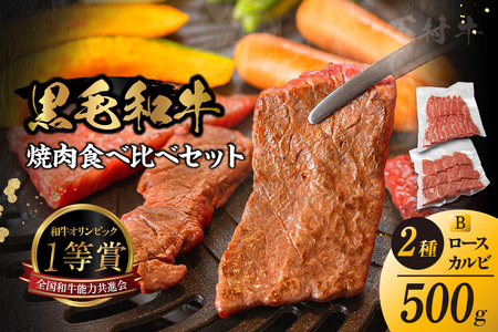 東浦町産黒毛和牛『下村牛』焼肉2種食べ比べセット(B)計500g(ロース・カルビ各250g)│焼肉 黒毛和牛 和牛 セット お肉 肉 バーベキュー 高級 カルビ かるび ロース 下村牛 愛知県 東浦町