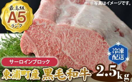 東浦町特産 最高級A5ランク黒毛和牛 [下村牛] サーロインブロック (約2.5kg) [0096] 