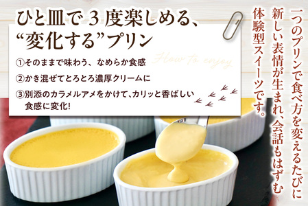 ブリュレあいちクリーム（4個入） プリン お菓子 スイーツ おやつ 卵 八丁味噌 味噌 ブリュレ クリーム 濃厚 濃密 とろとろ ルテイン ギフト 贈り物 贈答 愛知県 東浦町