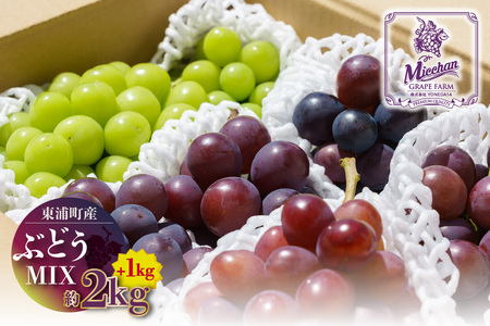 【先行予約】【2026年8月発送】東浦町産 ぶどうMIX・約3kg(2kg+1kg!)【みっちゃんぶどう園】
