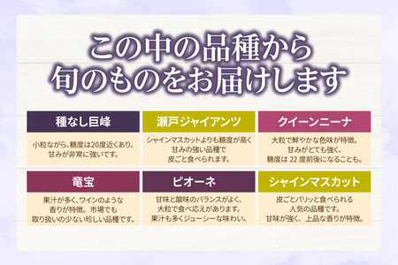【先行予約】【2026年8月発送】東浦町産 ぶどうMIX・約3kg(2kg+1kg!)【みっちゃんぶどう園】