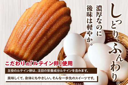 マドレーヌ 14個入 マドレーヌ 洋菓子 お菓子 スイーツ おやつ ルテイン 個包装 ギフト 贈り物 贈答 愛知県 東浦町
