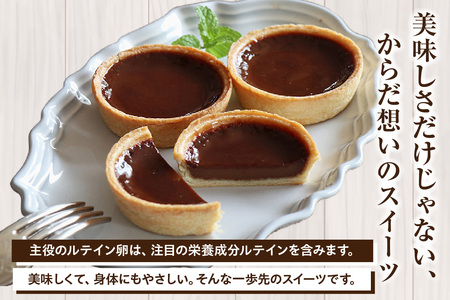 ショコラエッグタルト 9個入 タルト チョコレート ショコラ 洋菓子 お菓子 スイーツ おやつ ルテイン ギフト 贈り物 贈答 愛知県 東浦町