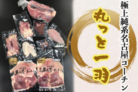 極上純系名古屋コーチン｜鶏肉 かしわ肉 内蔵 1羽丸ごと 新鮮 愛知県 [0635]