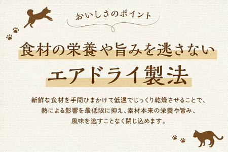 [プレイアーデン タネンバウム] 犬用 無添加トッピング ベジグルメ 8種のカラフル野菜 40g×4袋
