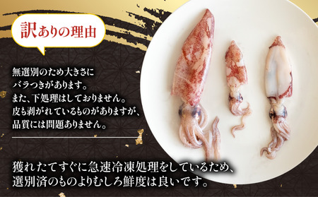 訳あり 小イカ ( アカイカ ヒイカ ) 約2.25kg(450gx5パック) 不揃い 小分け 冷凍 刺身 セリから直送 ケンサキイカ ジンドウイカ【配送不可地域：北海道･沖縄県･離島】 [uotarou004]
